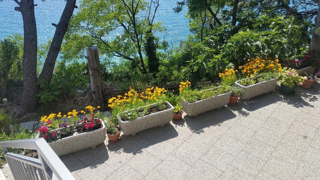 Apartments Garac Дуги Рат Екстериор снимка